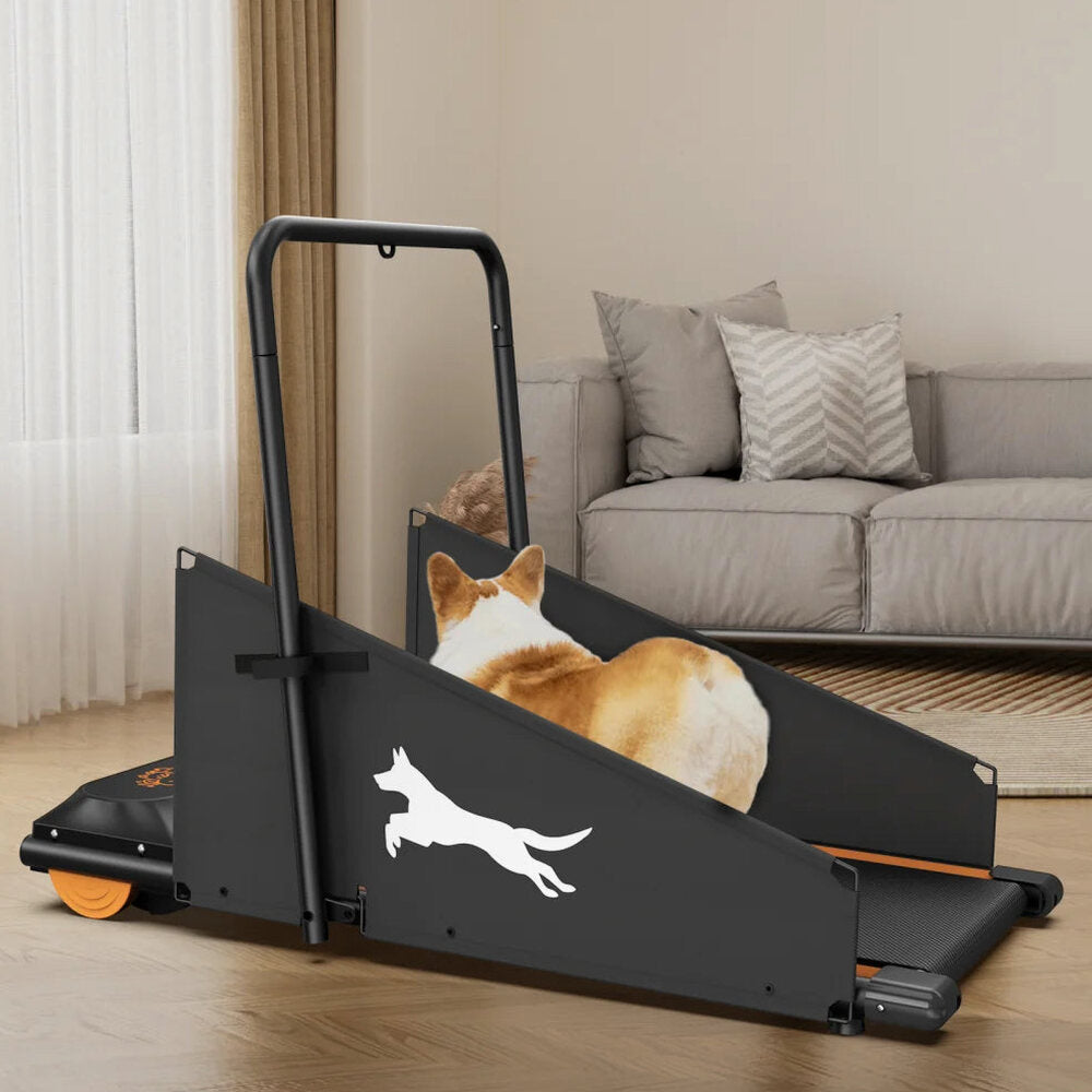 Dog Treadmill For Small And Medium Dogs - W215P235106