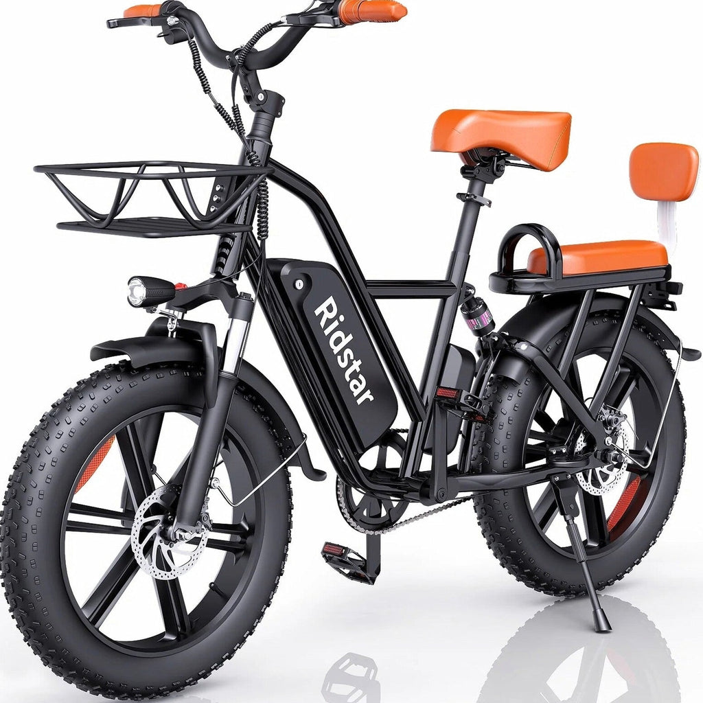 Electric Adult E-Bike 750W 48V 15AH 20in x 4.0 Fat Tire 2 Seater - UL2849