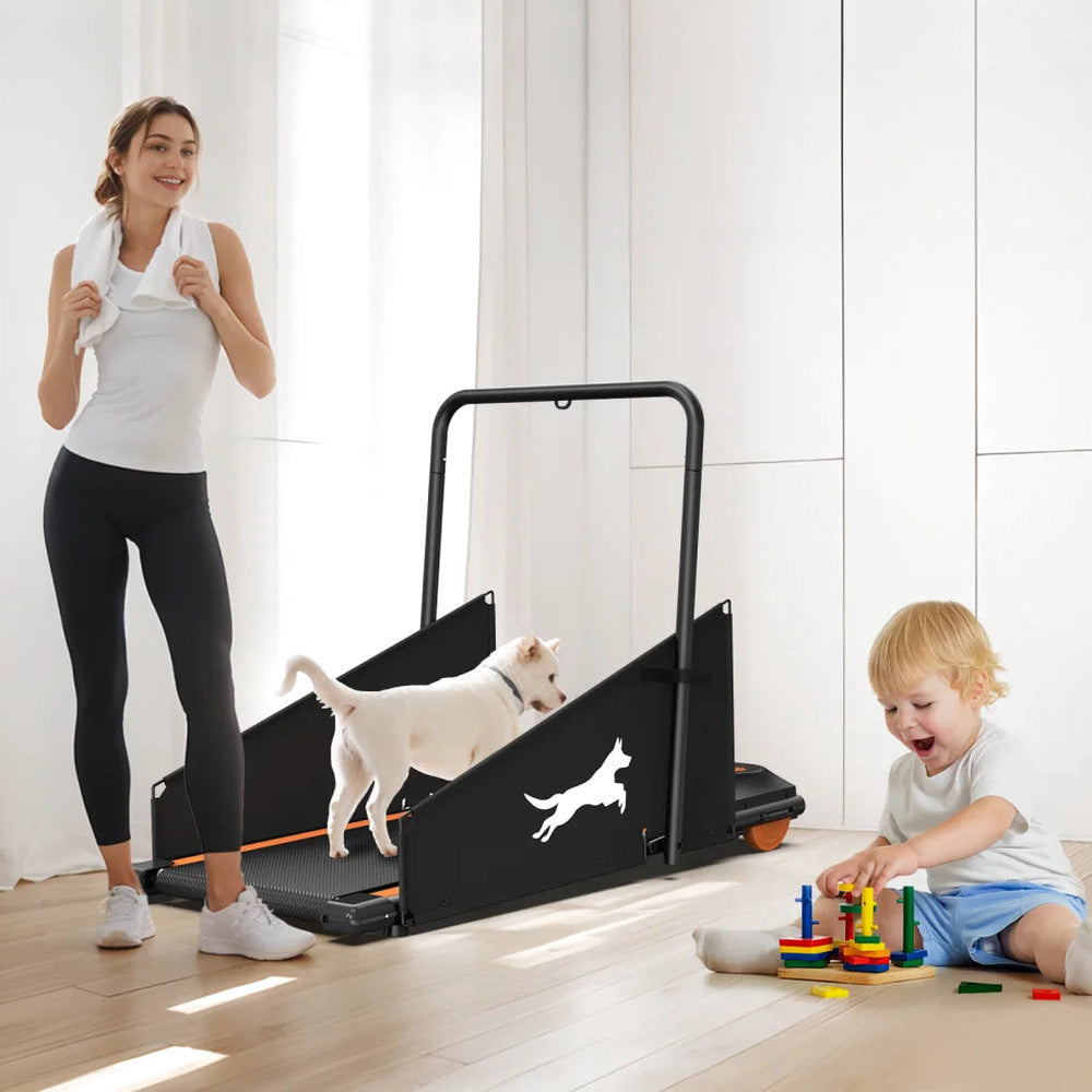 Dog Treadmill For Small And Medium Dogs - W215P235106