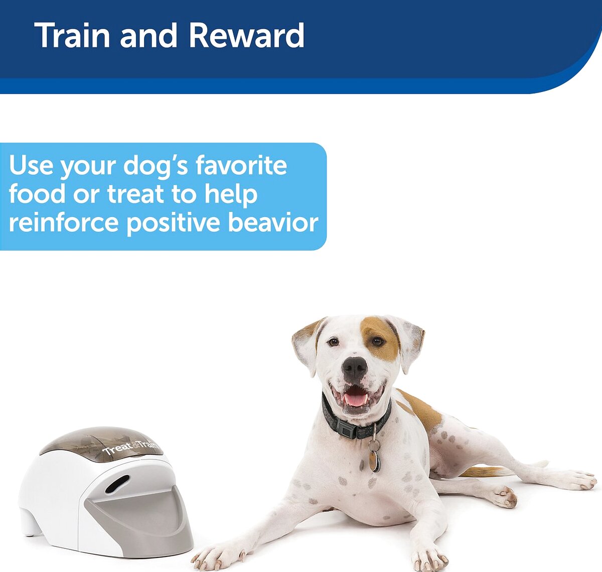 PetSafe Treat & Train Remote Treat Dispensing Dog Training System With Remote And Target Wand