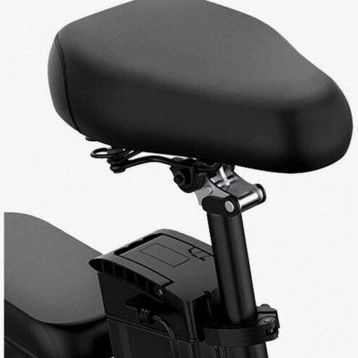 Folding Electric Bike 250W, 14 Inch, LCD Display, Removable Battery, Dual Disc Brake, Black