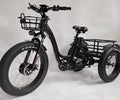 BaFang Fat Tire Electric Trike, 750W 48V 16AH Samsung Battery, 350 lbs Capacity