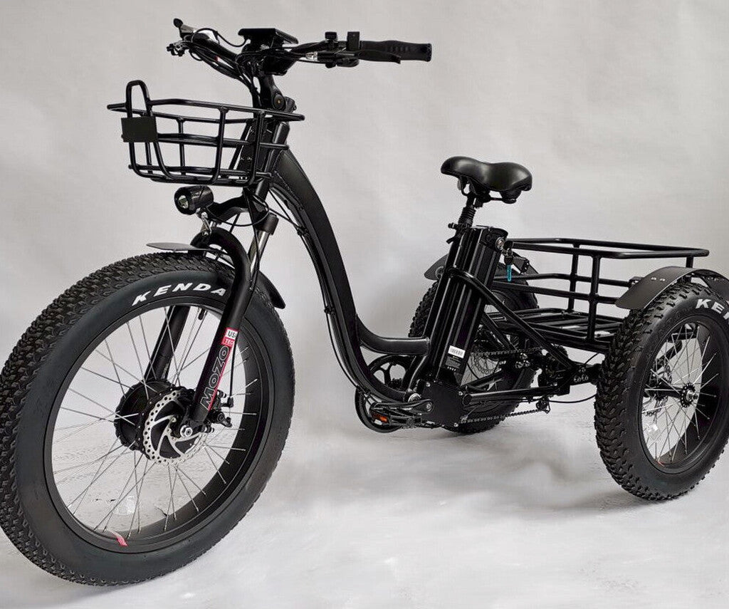 BaFang Fat Tire Electric Trike, 750W 48V 16AH Samsung Battery, 350 lbs Capacity