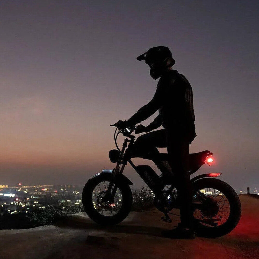 Dual Motor Electric Bike 2000W 52V 40Ah - Q20PRO