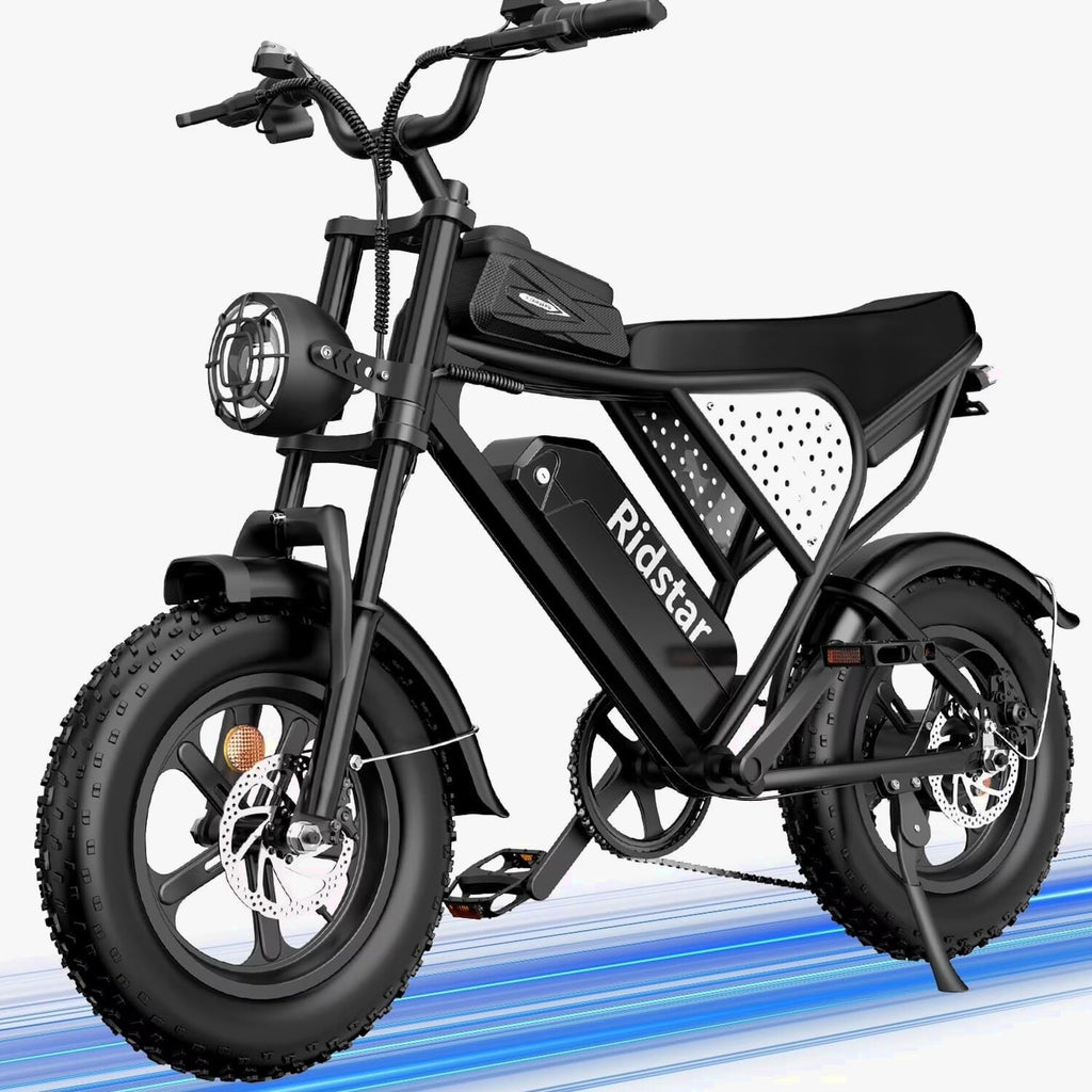 1500W Electric Mountain Bike 48V 20Ah, 20 inch Fat Tires, Shimano 7-Speed, Full Suspension - q20-1500w