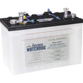 Basement Watchdog Battery - 30HDC140S
