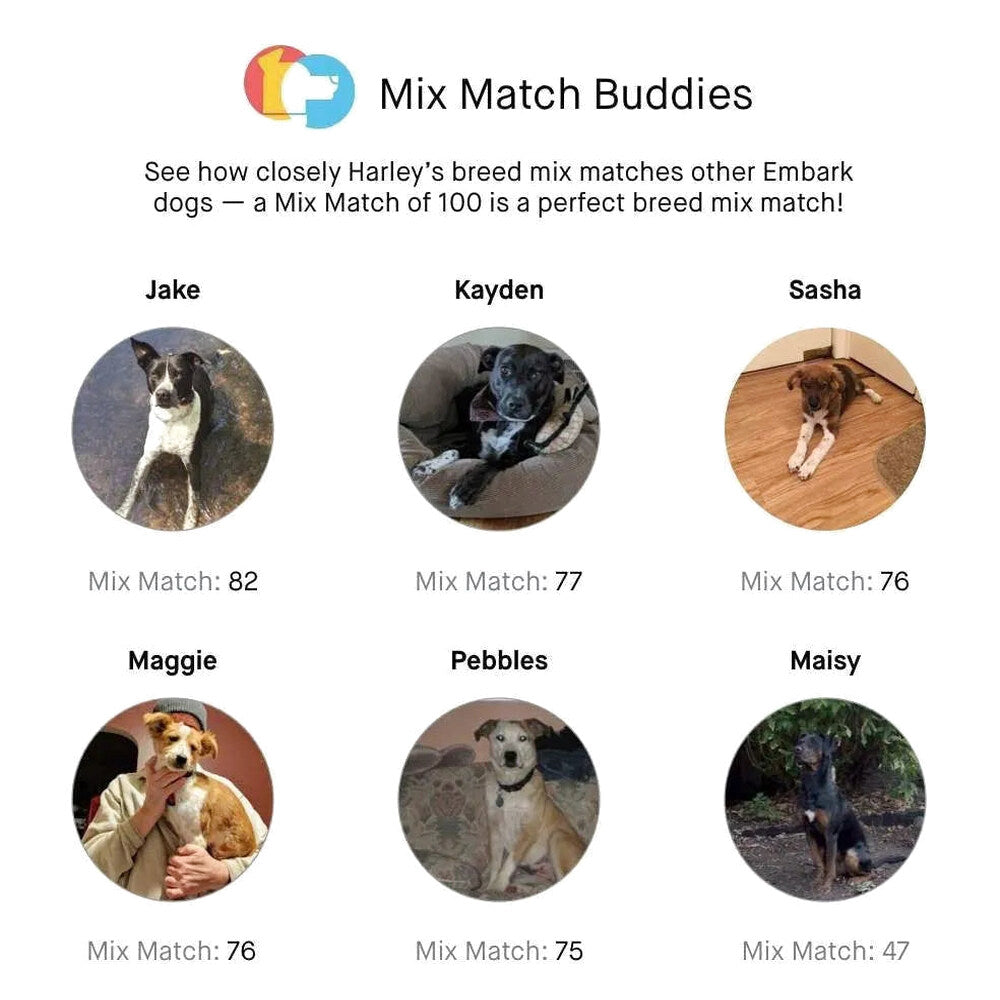 Embark Dog DNA Test Breed Identification Kit
