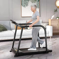 Senior-Friendly Walking Treadmill With Extended Handrails, 2.5 HP, 300 Lb Capacity, Black