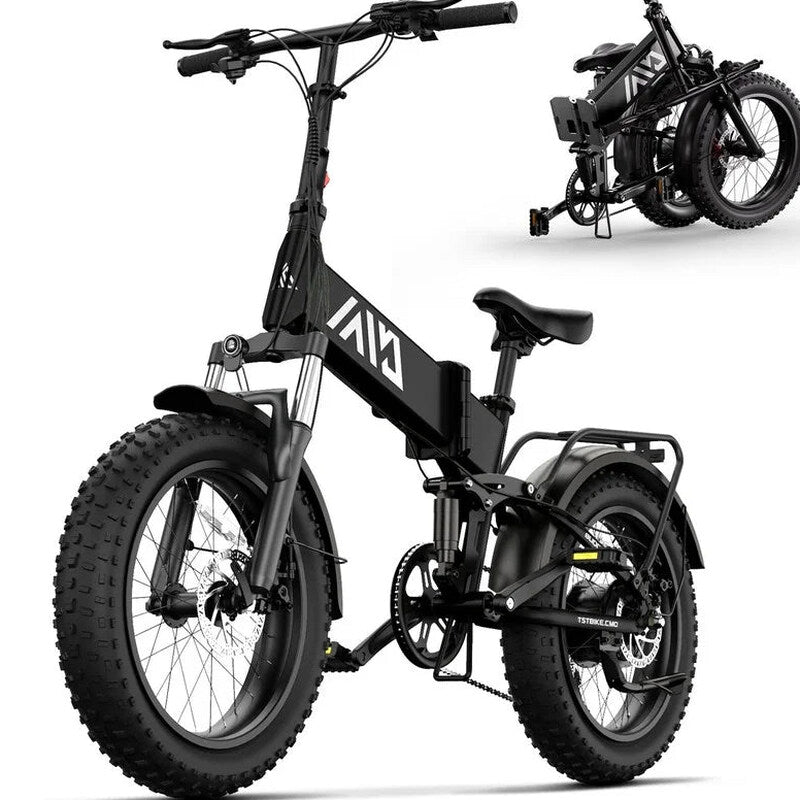 TST Foldable Electric Bike, 20in 4.0 Fat Tire, 48V 13Ah, 750W, Black - Buddy Pro