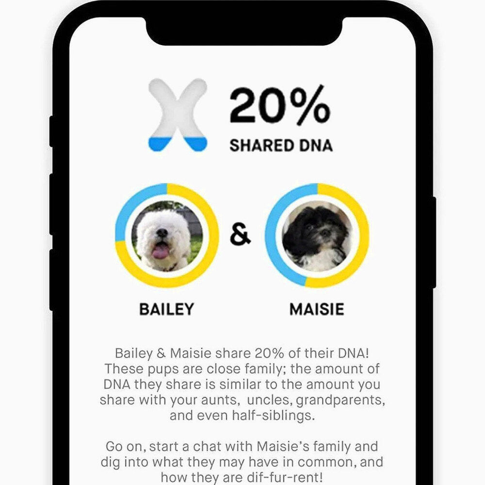 Embark Dog DNA Test Breed Identification Kit