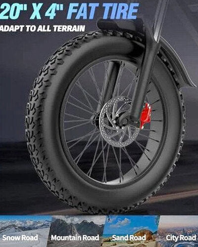 Dual Motor Electric Bike 2000W 52V 40Ah - Q20PRO
