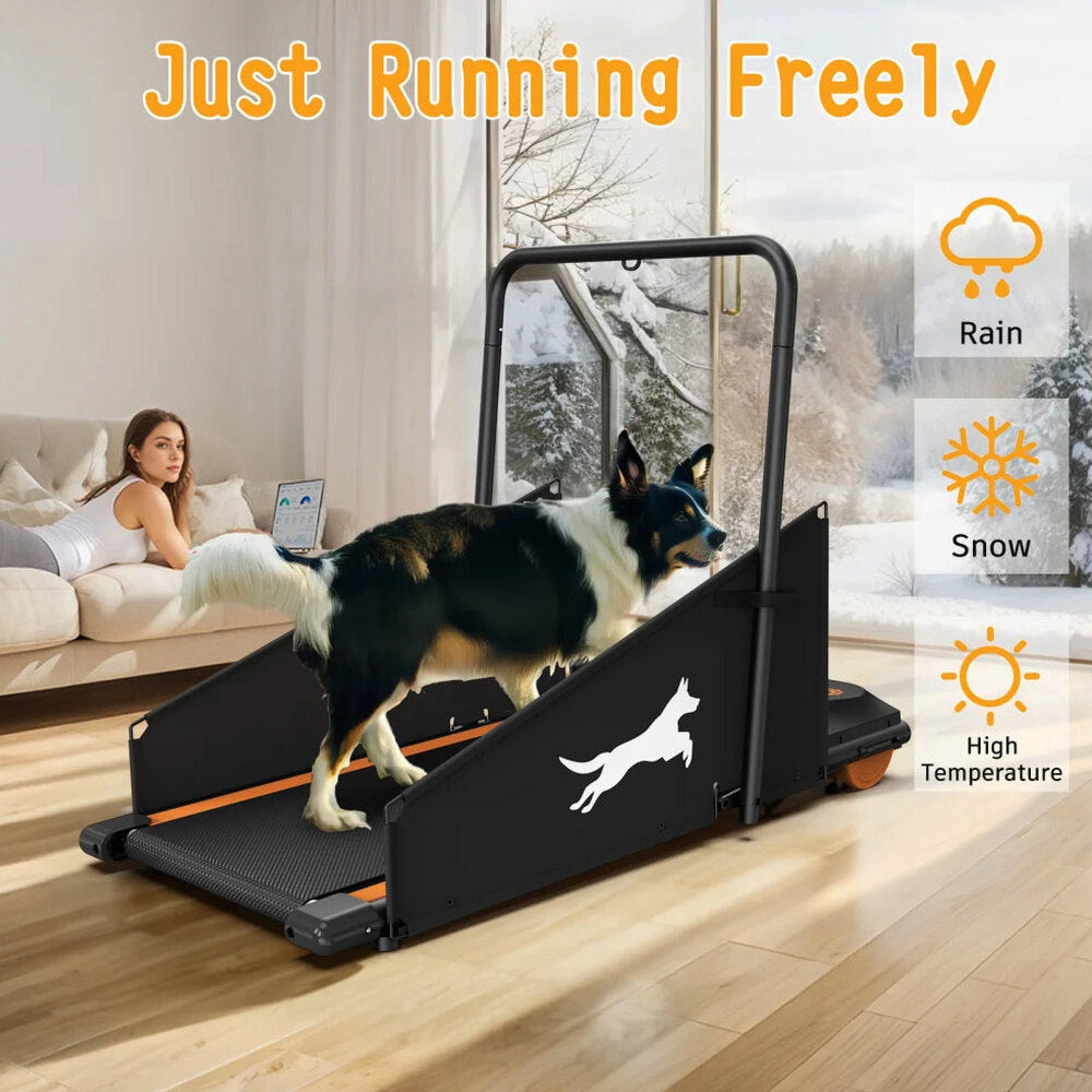 Dog Treadmill For Small And Medium Dogs - W215P235106