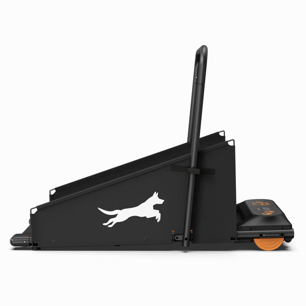 Dog Treadmill For Small And Medium Dogs - W215P235106