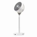 Woozoo 360 Pedestal Fan, Adjustable Height 21 in Or 36 in