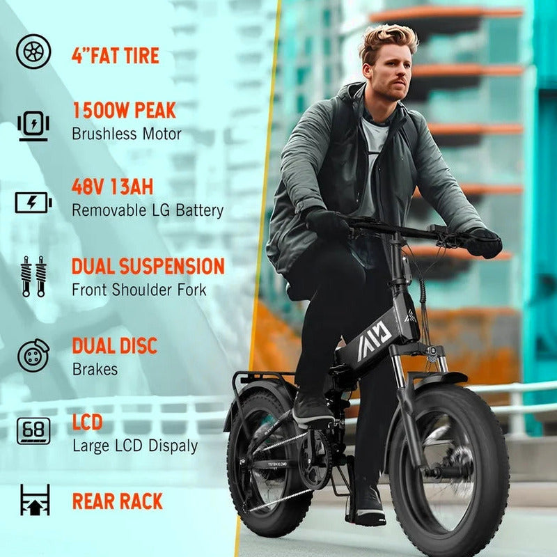 TST Foldable Electric Bike, 20in 4.0 Fat Tire, 48V 13Ah, 750W, Black - Buddy Pro