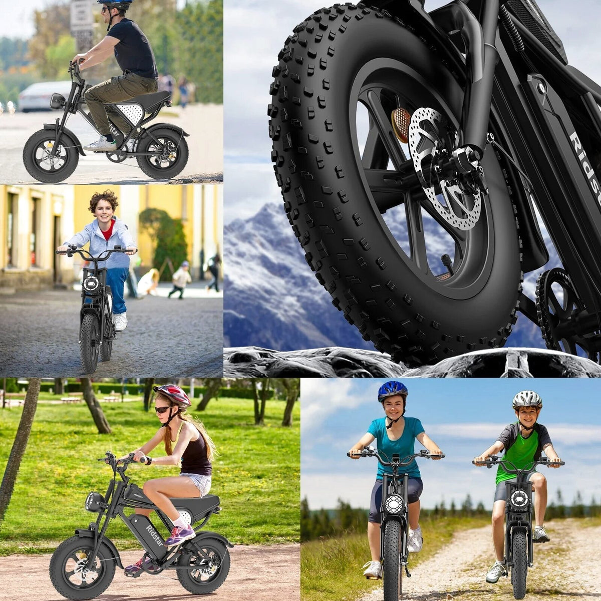 1500W Electric Mountain Bike 48V 20Ah, 20 inch Fat Tires, Shimano 7-Speed, Full Suspension - q20-1500w