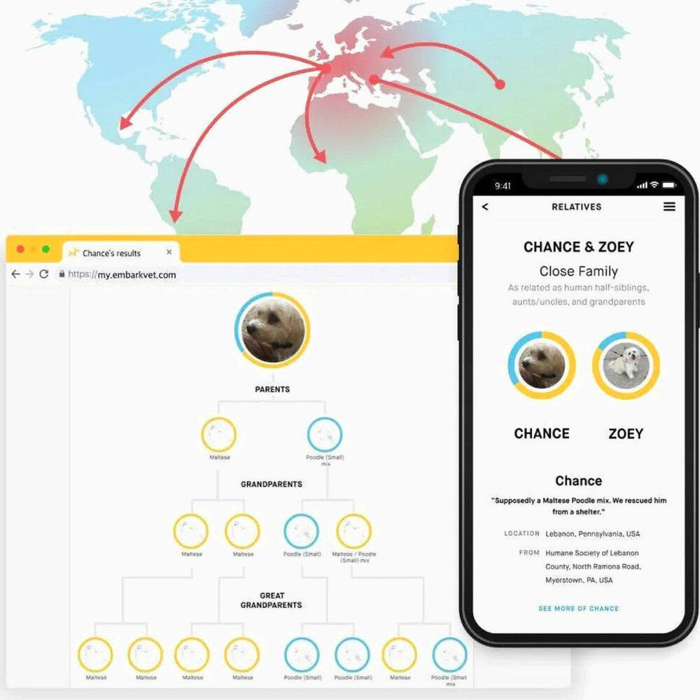 Embark Dog DNA Test Breed Identification Kit