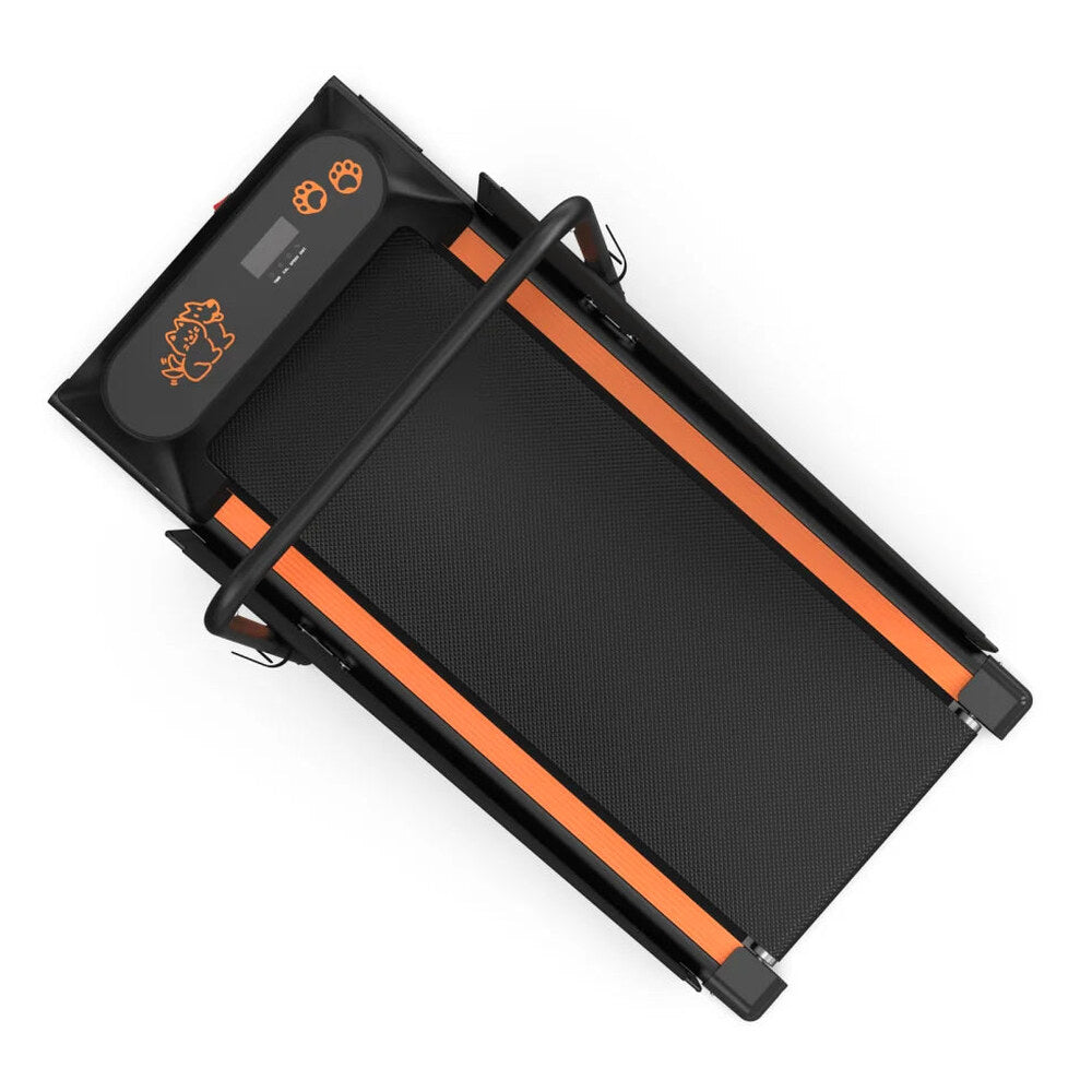 Dog Treadmill For Small And Medium Dogs - W215P235106