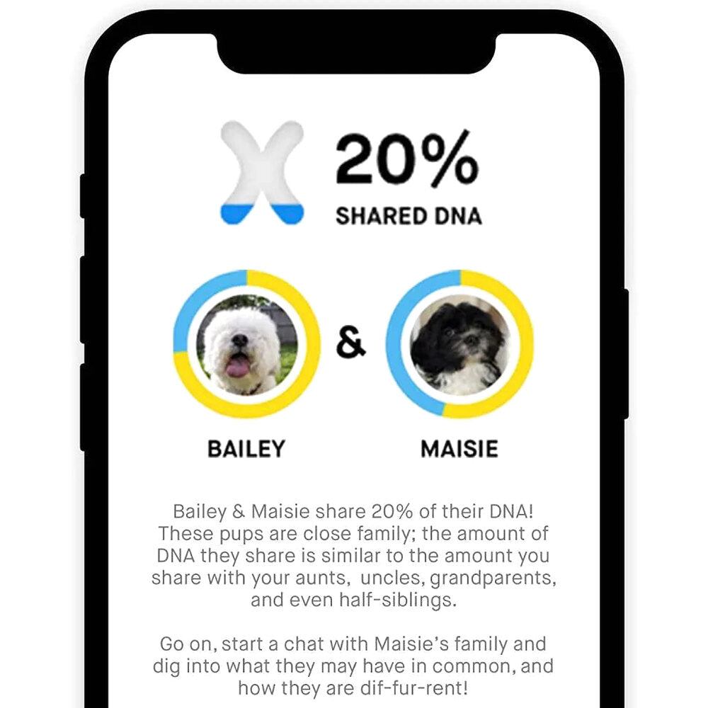 Embark Dog DNA Test Breed Identification Kit