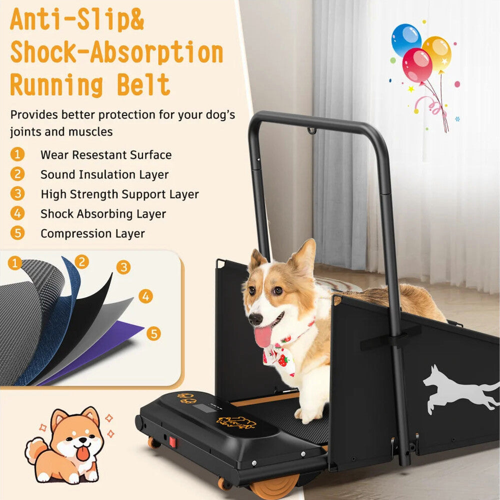Dog Treadmill For Small And Medium Dogs - W215P235106