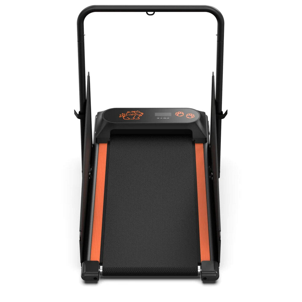 Dog Treadmill For Small And Medium Dogs - W215P235106