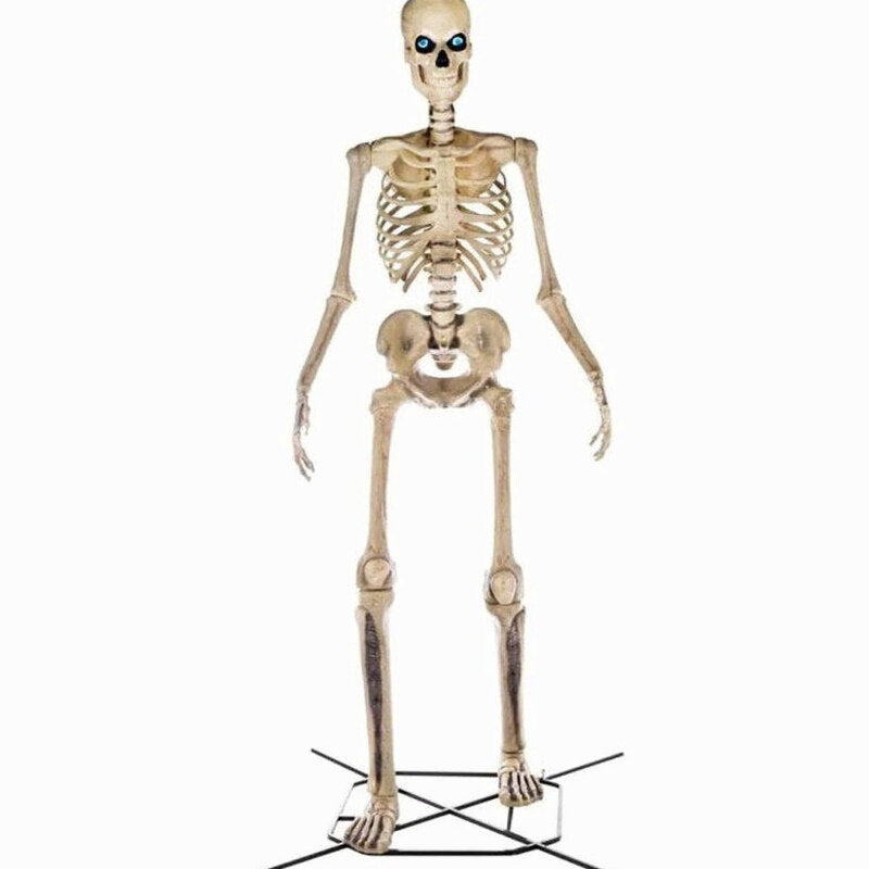 Home Accents Giant Skeleton With LifeEyes, 12 ft, 95 lbs - Halloween Decoration