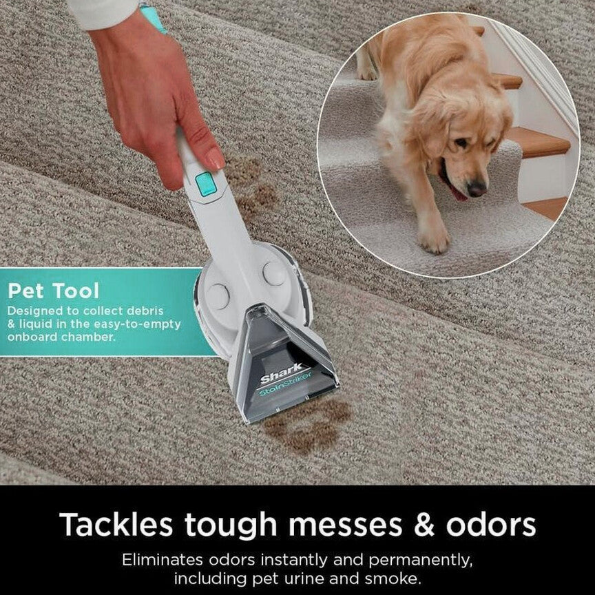 Shark CarpetXpert Carpet Cleaner, Cyan - EX201