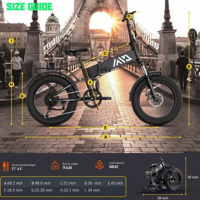TST Foldable Electric Bike, 20in 4.0 Fat Tire, 48V 13Ah, 750W, Black - Buddy Pro