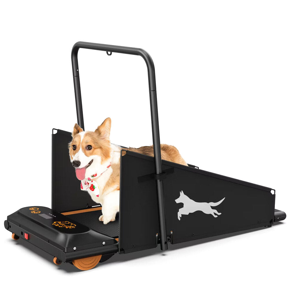 Dog Treadmill For Small And Medium Dogs - W215P235106