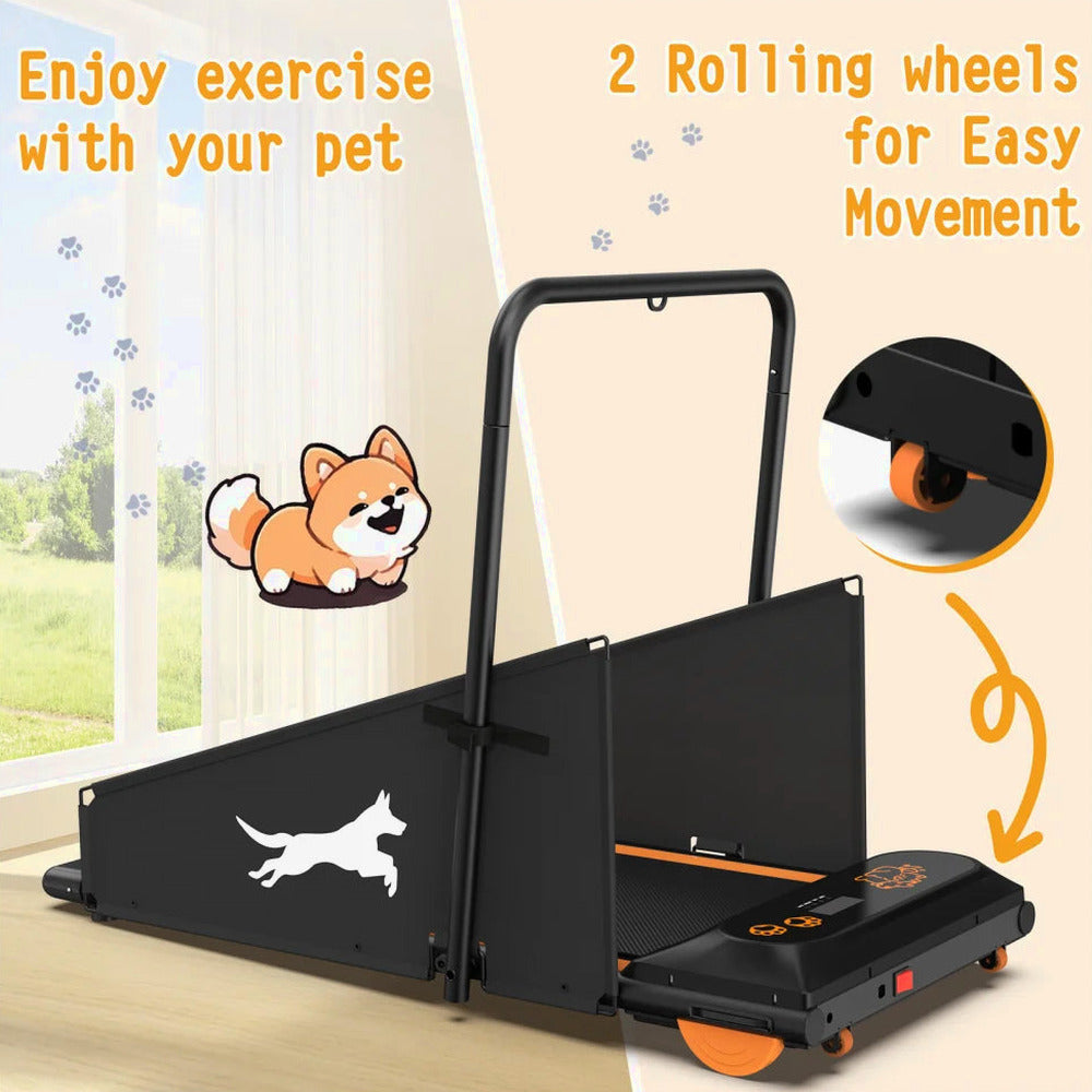 Dog Treadmill For Small And Medium Dogs - W215P235106