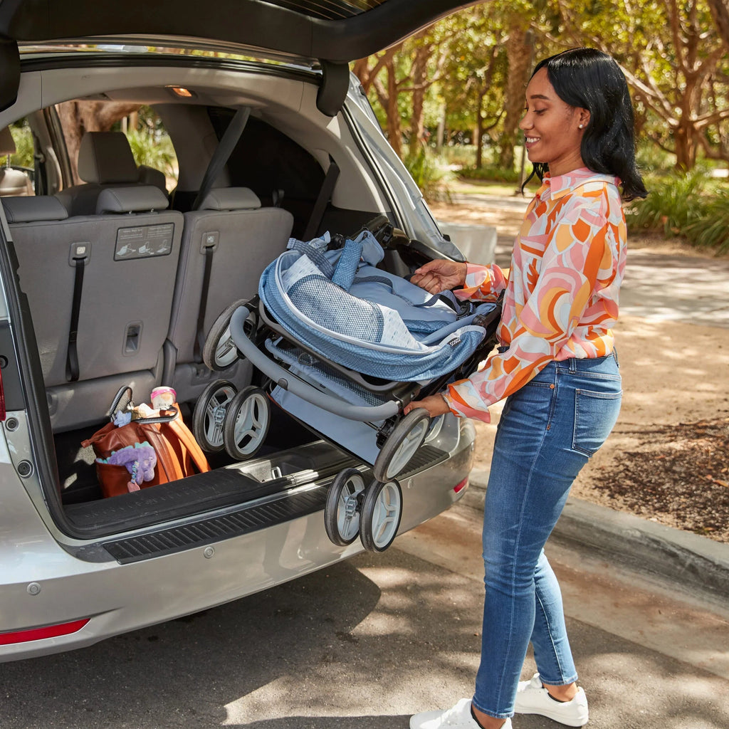 Cosco Kids Lift & Stroll DX Travel System, Gray Arrows - DX