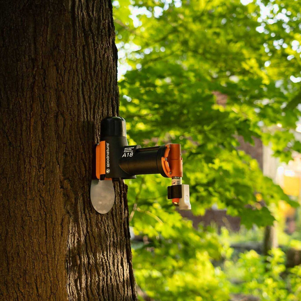 Goodnature Squirrel Trap Kit - A18