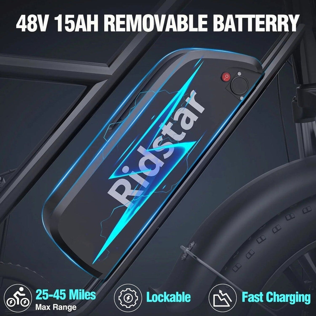 Electric Adult E-Bike 750W 48V 15AH 20in x 4.0 Fat Tire 2 Seater - UL2849