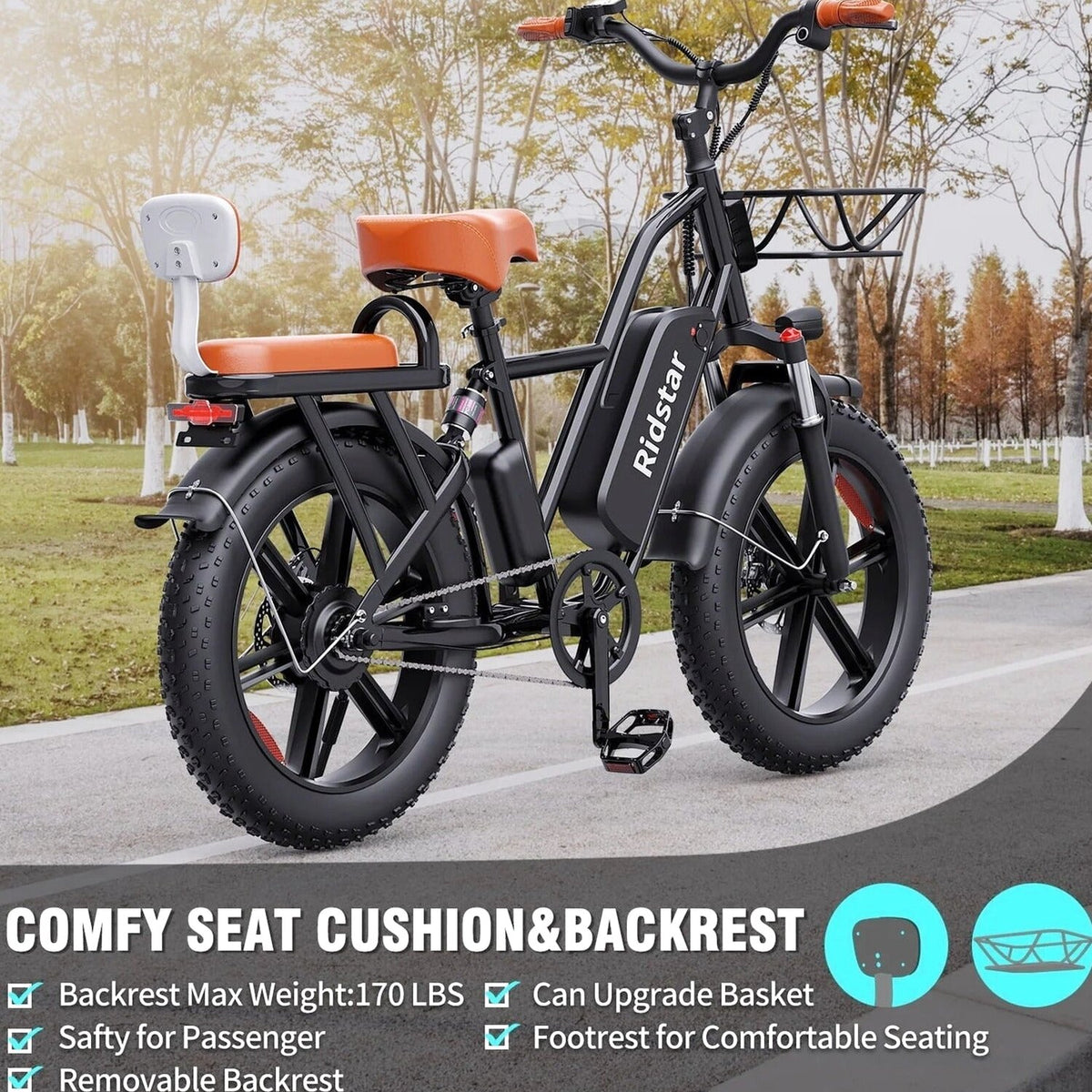Electric Adult E-Bike 750W 48V 15AH 20in x 4.0 Fat Tire 2 Seater - UL2849